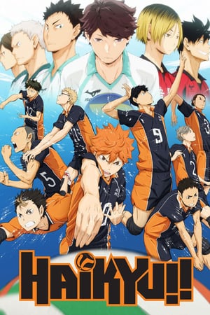 Haikyuu!! (2014)