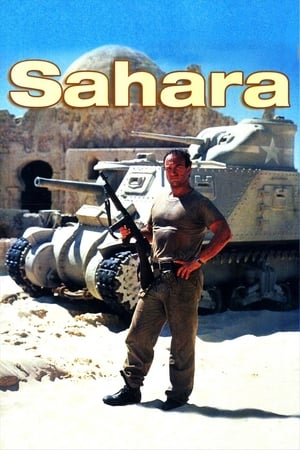 Poster Sahara (1995) gt