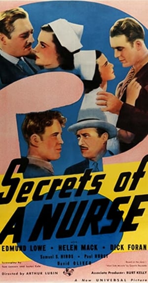 Poster Secrets of a Nurse (1973)