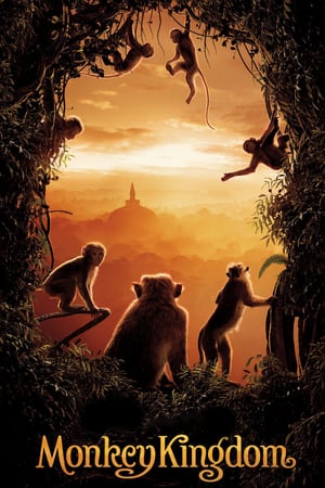 Monkey Kingdom 2015 Poster