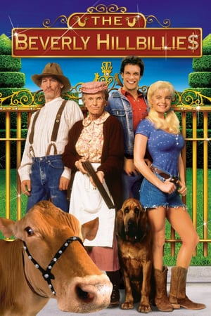 Poster The Beverly Hillbillies (1993) gt