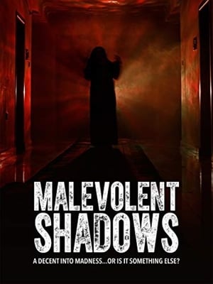 Malevolent Shadows 2017 Poster