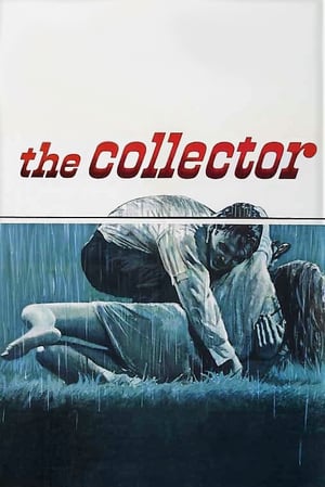 The Collector (1965) gt