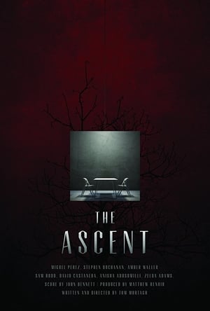 The Ascent (2017)