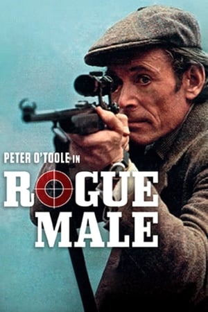 Poster Rogue Male (1976) gt