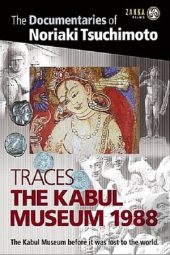 Traces: The Kabul Museum (2016)