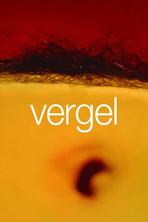 Poster Vergel (2017)