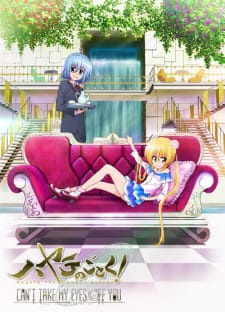 Hayate no Gotoku! Can’t Take My Eyes Off You (2012)