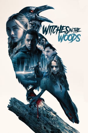 Poster Witches In The Woods (2019) jf