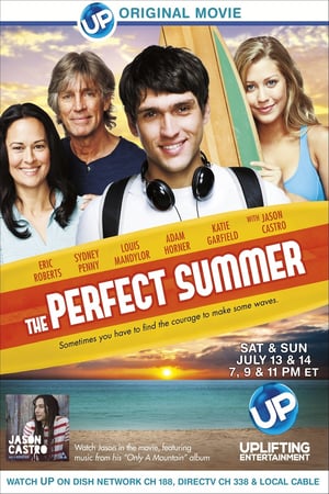 Poster The Perfect Summer (2013)