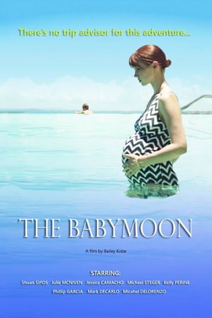 Poster The Babymoon (2017) jf