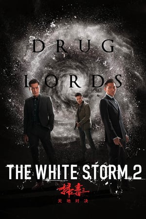 Poster Nonton The White Storm 2: Drug Lords (2019) Sub Indo jf