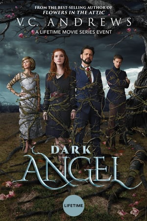 Dark Angel (2019)