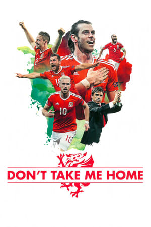 Poster Don’t Take Me Home (2017)