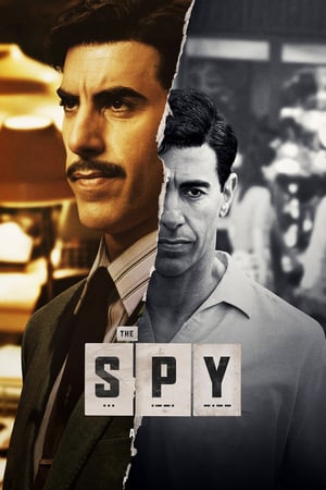 The Spy Season 01 (2019)