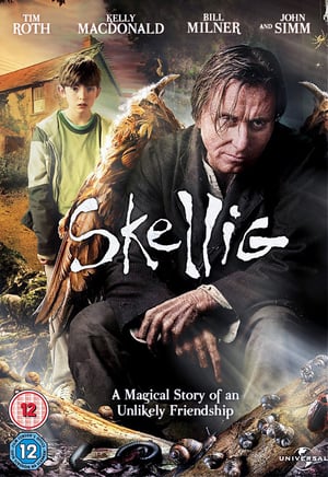 Poster Skellig (2009)