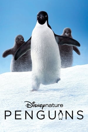 Poster Penguins (2019) jf