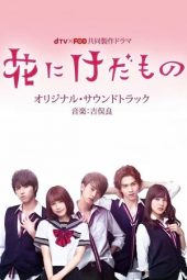 Nonton Film Flower and the Beast S01 / Hana ni Keda Mono S01 (2017) Sub Indo