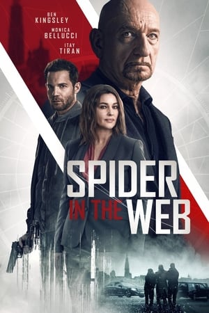 Poster Spider in the Web (2019) jf