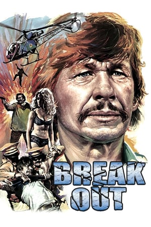 Poster Breakout (1975) jf