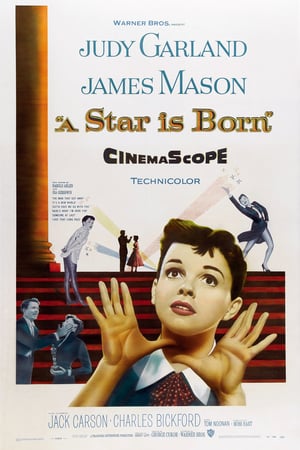 Poster A Star Is Born (1954) jf