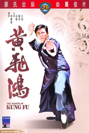 The Master of Kung Fu 1973 Poster