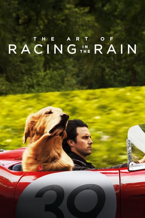 Poster Nonton The Art of Racing in the Rain (2019) Sub Indo jf