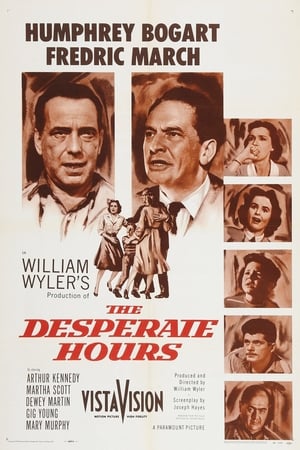 Poster The Desperate Hours (1955) jf