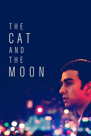 The Cat and the Moon (2019) gt