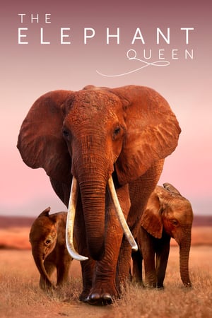 The Elephant Queen 2019 Poster
