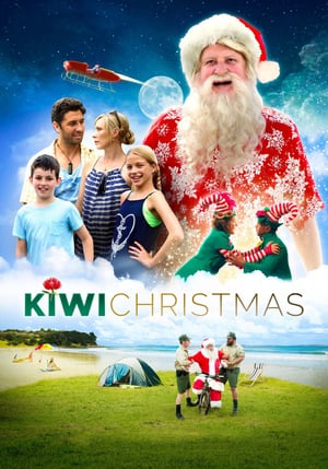 Kiwi Christmas 2017 Poster