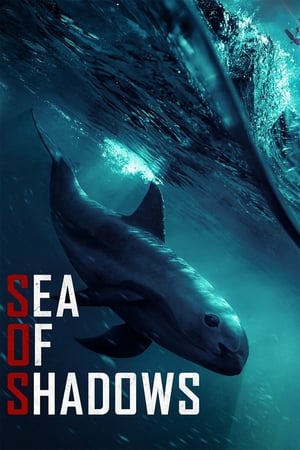 Sea of Shadows 2019 gt Poster