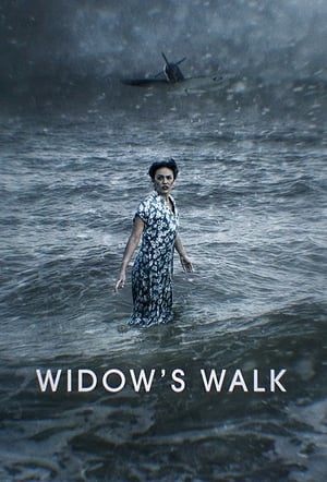 Poster Widow’s Walk (2019) jf