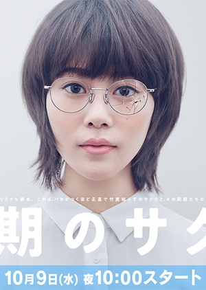 Douki no Sakura (2019)