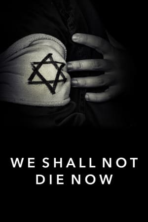 We Shall Not Die Now 2019 Poster
