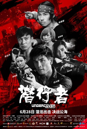 Undercover Punch and Gun 2019 Poster