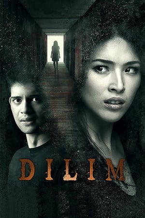 Poster Darkness / Dilim (2014) gt