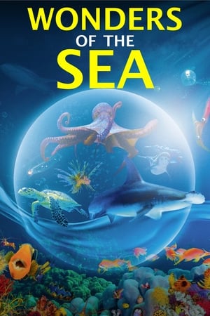 Wonders of the Sea 3D 2017 Poster