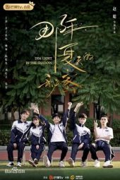 Nonton Film Dim Light in the Shadow (2020) Sub Indo