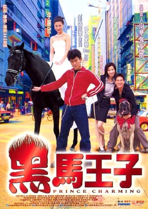 Poster Prince Charming (1999) gt