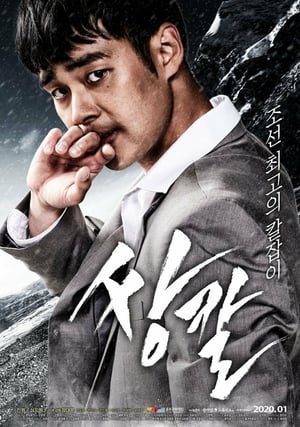 Dual Wielding Swordsman 2019 Poster