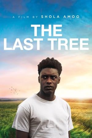 Poster The Last Tree (2019) jf