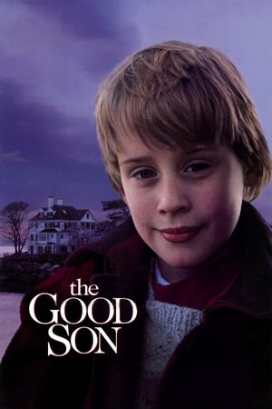 The Good Son 1993 Poster