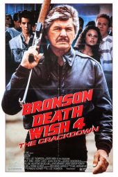 Nonton Film Death Wish 4: The Crackdown (1987) Sub Indo