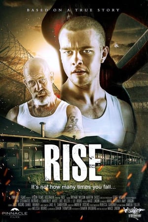 Poster RISE (2014)