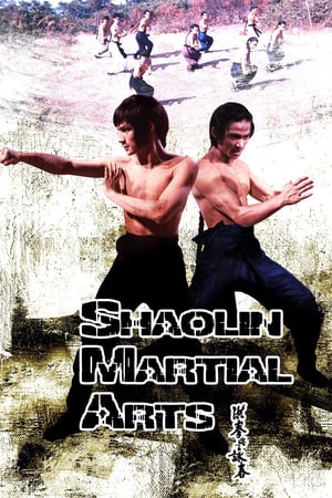 Poster Shaolin Martial Arts (1974)