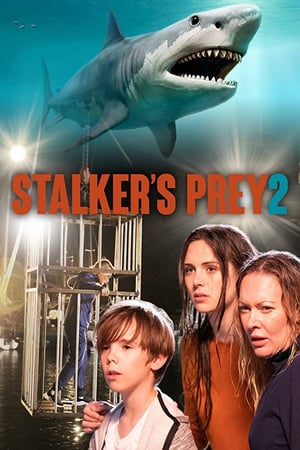 A Predator8217 s Obsession Stalker8217 s Prey 2 2020 Poster
