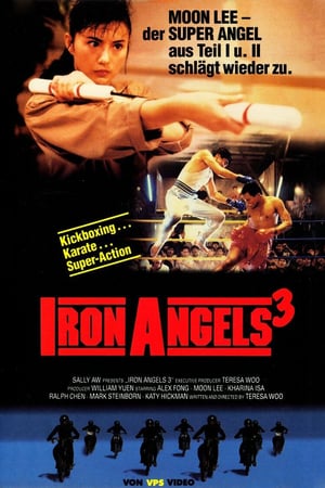 Iron Angels 3 1989 Poster