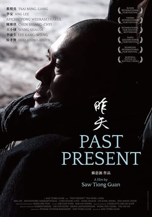 Past Present (2013) gt