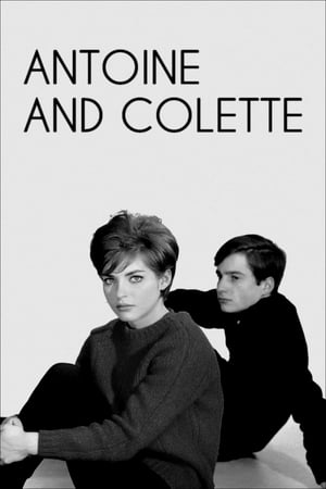 Poster Antoine and Colette (1962) jf